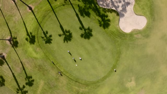 Aerial view of a park, palm trees and open country at Glorietta Bay, with people walking.