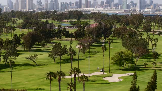 Low aerial view of a park, the skyline and palm trees at Glorietta Bay.