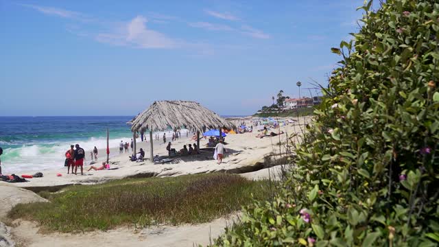 Elevated view of the beach, the surf and palm trees at Windansea, with a crowd gathered.