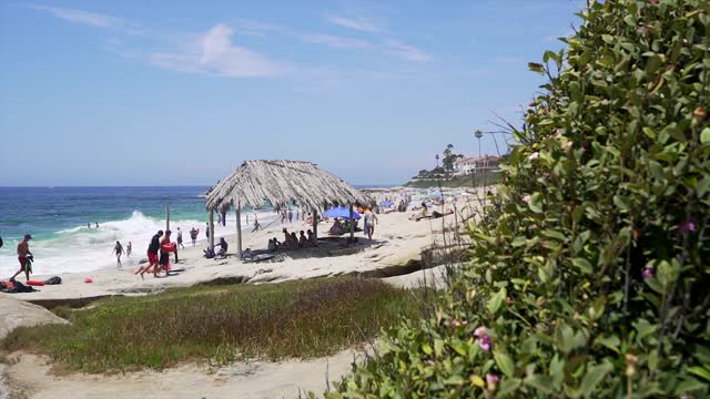 Elevated view of the beach, the surf and palm trees at Windansea, with a crowd gathered.