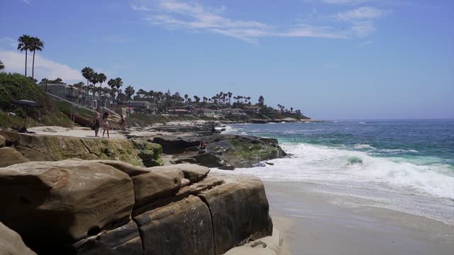 The beach, the surf and palm trees at Windansea, with people walking.