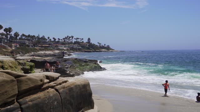 The beach, the surf and palm trees at Windansea, with people walking.