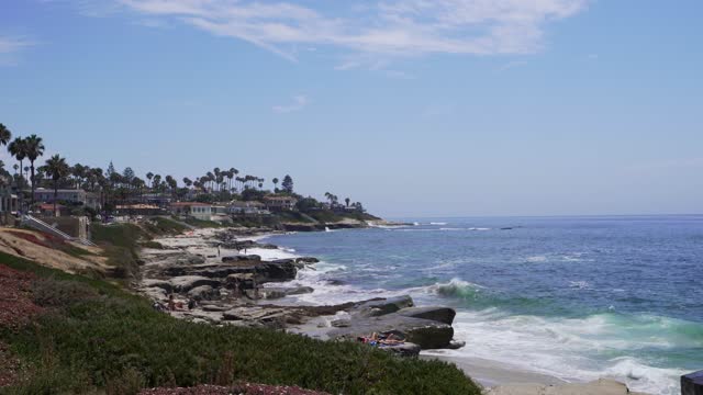 Elevated view of the cliffs, the surf and palm trees at Windansea.