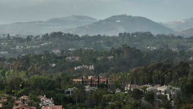 Aerial view of a residential street, palm trees and homes in Rancho Santa Fe.