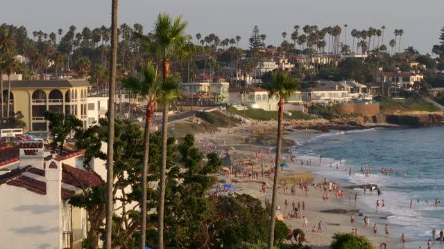 Elevated view of the beach, palm trees and the ocean at Beach Barber Tract, with people walking.