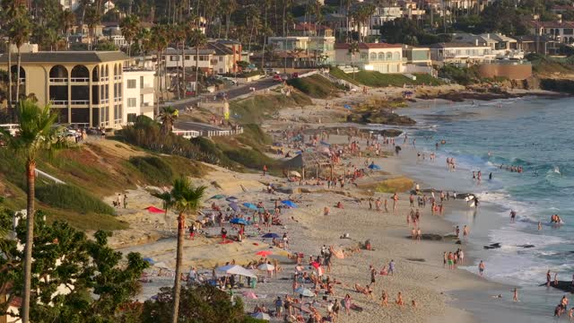 Elevated view of the beach, palm trees and the ocean at Beach Barber Tract, with a crowd gathered.