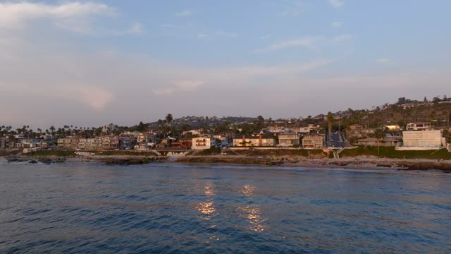 Low aerial view of the beach, palm trees and the ocean at Beach Barber Tract.