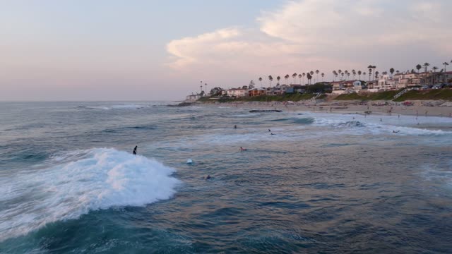 Low aerial view of the beach, the surf and palm trees at Beach Barber Tract, with surfers out.