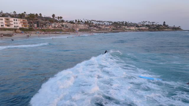 Low aerial view of the beach, the surf and palm trees at Beach Barber Tract, with surfers out.