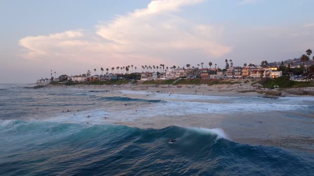 Low aerial view of the beach, the surf and palm trees at Beach Barber Tract, with surfers out.