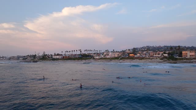 Low aerial view of the beach, the surf and palm trees at Beach Barber Tract, with swimmers in the water.