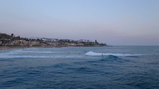 Low aerial view of the beach, the surf and palm trees at Beach Barber Tract, with surfers out.