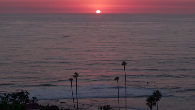 Elevated view of the cliffs, the surf and palm trees at Beach Barber Tract, with surfers out.