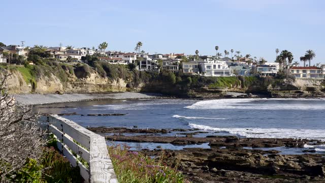 Elevated view of the cliffs, the surf and palm trees at Bird Rock.