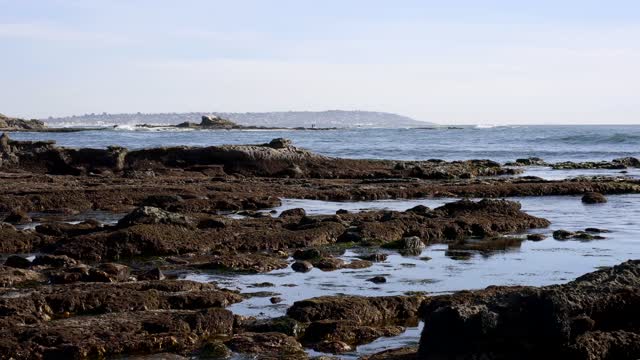 The beach, the surf and the ocean at Bird Rock.