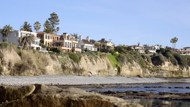 The cliffs, palm trees and the ocean at Bird Rock.