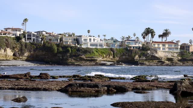The cliffs, palm trees and the ocean at Bird Rock.