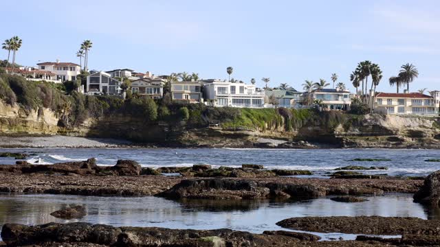 The cliffs, palm trees and the ocean at Bird Rock.