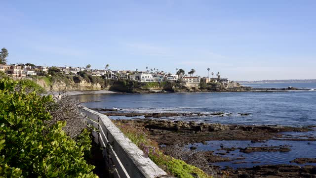 Elevated view of the cliffs, palm trees and the ocean at Bird Rock.