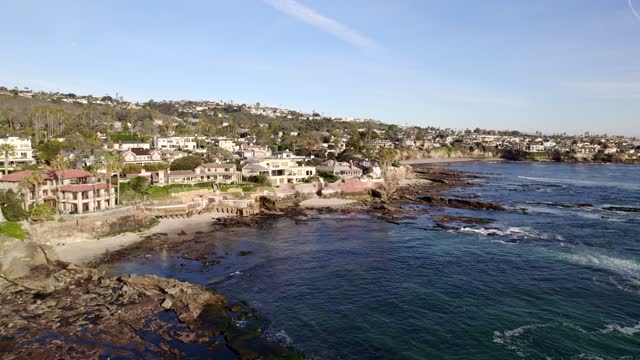 Low aerial view of the cliffs, palm trees and the ocean at Bird Rock.