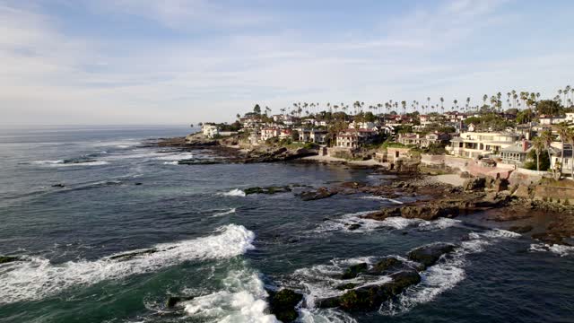 Low aerial view of the cliffs, the surf and palm trees at Bird Rock.