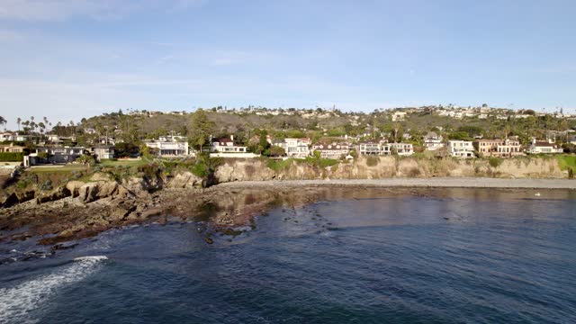 Low aerial view of the cliffs, palm trees and the ocean at Bird Rock.