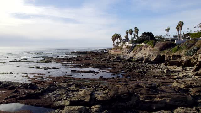 Low aerial view of the cliffs, palm trees and the ocean at Bird Rock.