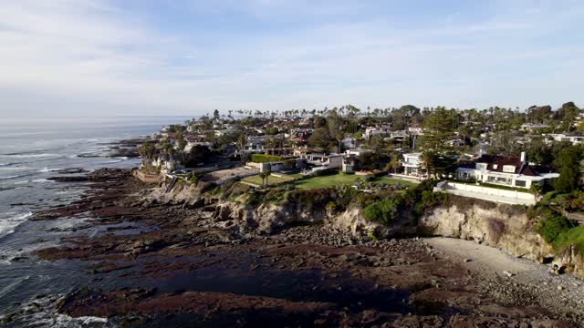 Aerial view of the cliffs, palm trees and the ocean at Bird Rock.