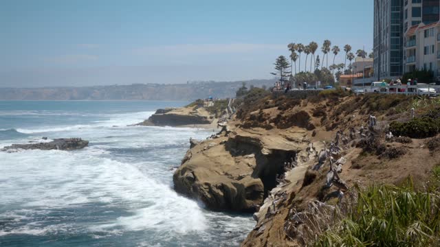 Elevated view of the cliffs, the surf and wildlife at La Jolla Cove, with people walking.