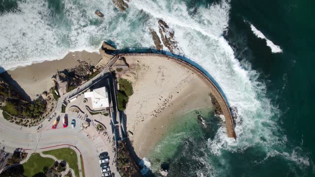 Aerial view of the beach, the surf and wildlife at La Jolla Cove.