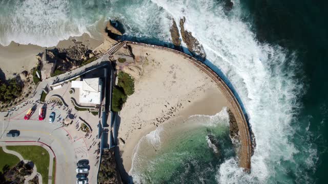 Aerial view of the beach, the surf and wildlife at La Jolla Cove, with people walking.