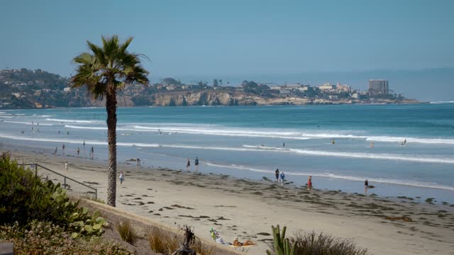 Elevated view of the beach, the surf and palm trees at La Jolla Shores, with people walking.