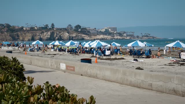 Elevated view of the beach, palm trees and the ocean at La Jolla Shores, with a crowd gathered.