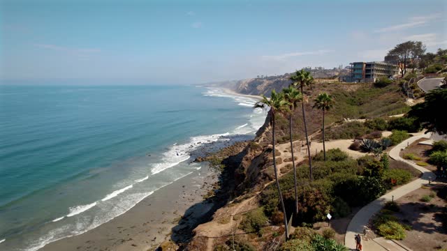 Low aerial view of the cliffs, palm trees and the ocean at Black’s Beach, with people walking.
