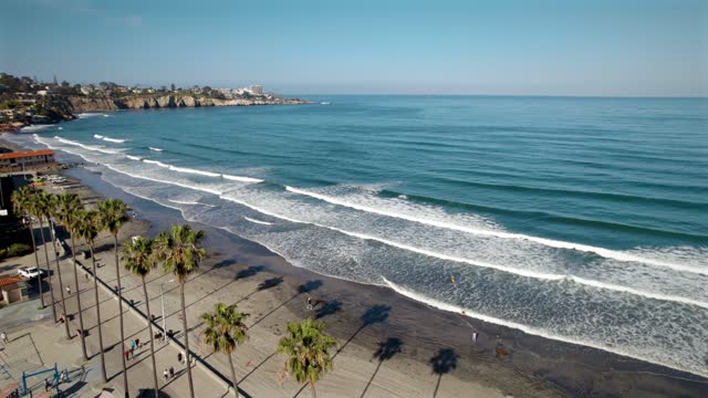 Low aerial view of the beach, the surf and palm trees at La Jolla Shores, with people walking.