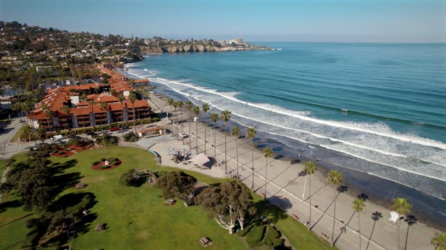 Aerial view of the beach, the surf and palm trees at La Jolla Shores.