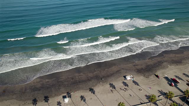 Aerial view of the beach, the surf and palm trees at La Jolla Shores.