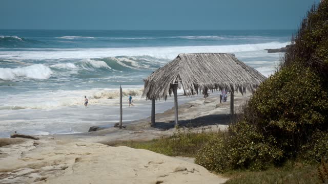 Elevated view of the beach, the surf and the ocean at Windansea, with people walking.