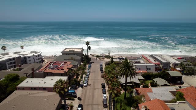 Aerial view of the beach, the surf and palm trees at Windansea.