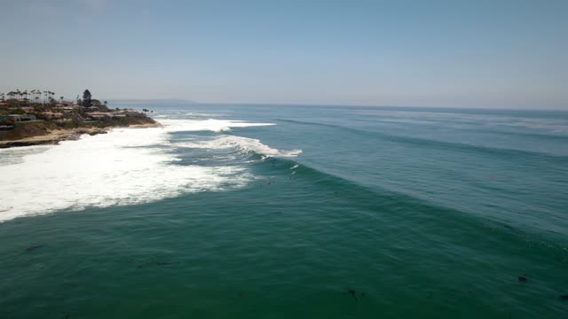Low aerial view of the cliffs, the surf and palm trees at Windansea, with surfers out.