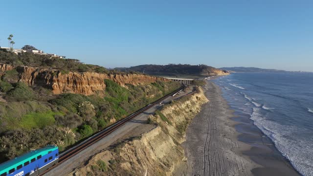 Aerial view of the cliffs, palm trees and the ocean in Del Mar.