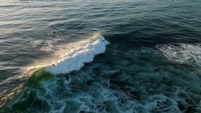 Low aerial view of the beach, the surf and the ocean at Beach Barber Tract, with surfers out.