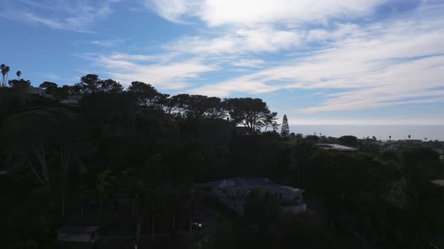 Low aerial view of a residential street, palm trees and the ocean in Del Mar.