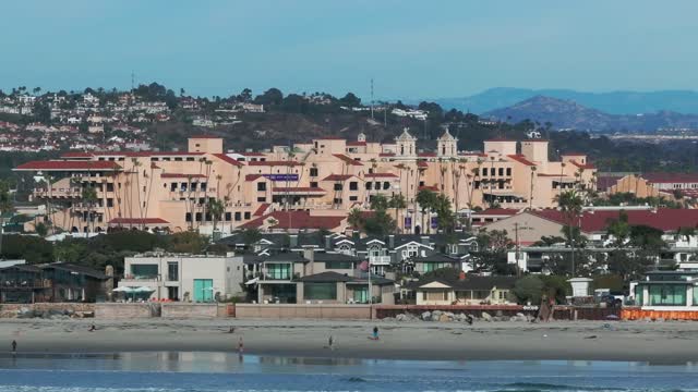 The beach, palm trees and the ocean at Del Mar Dog Beach, with people walking.