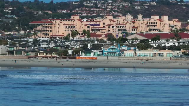 The beach, the surf and palm trees at Del Mar Dog Beach, with people walking.