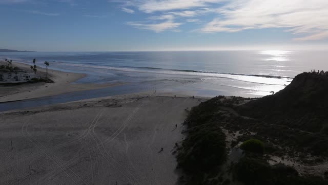 Aerial view of the beach, the surf and palm trees at Del Mar Dog Beach, with people walking.