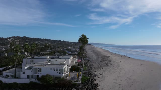 Low aerial view of the beach, palm trees and the ocean in Del Mar, with people walking.