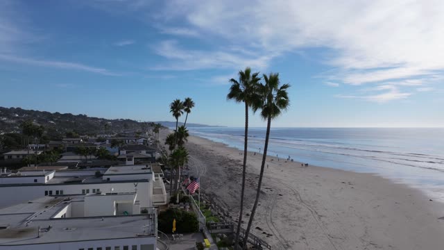 Low aerial view of the beach, palm trees and the ocean in Del Mar, with people walking.