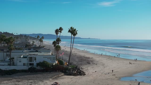Low aerial view of the beach, the surf and wildlife in Del Mar, with people walking.