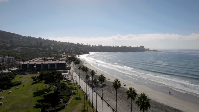 Aerial view of the beach, the surf and palm trees at La Jolla Shores, with people walking.